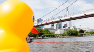 Duck-Race-Frankfurt-2017